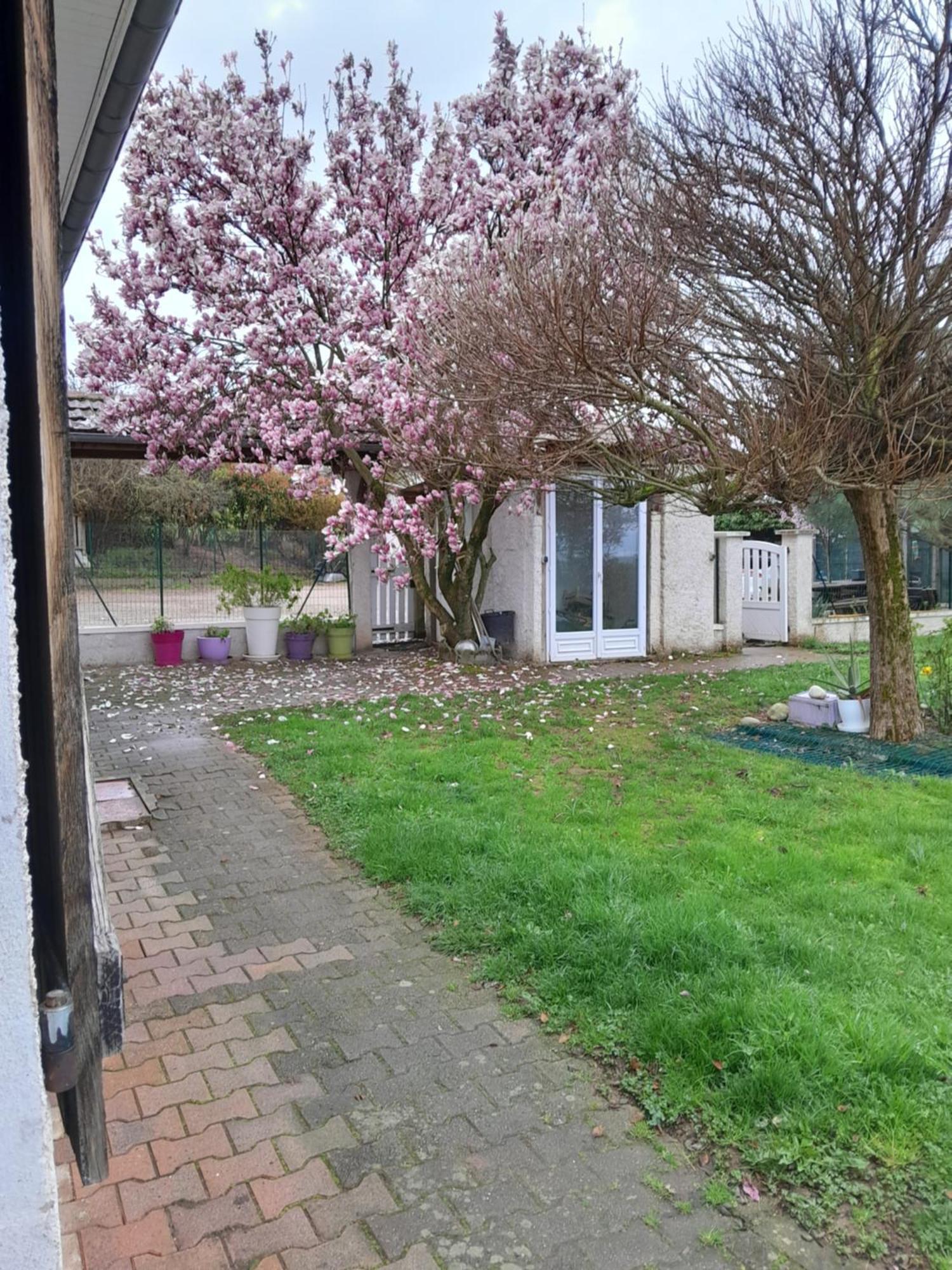 Chambres D Hotes Au P'Tit Bonheur Campagnard Jarnosse Luaran gambar